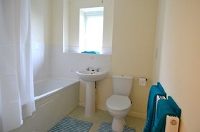 1 Bedroom Apartment